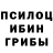 Галлюциногенные грибы GOLDEN TEACHER Anudist