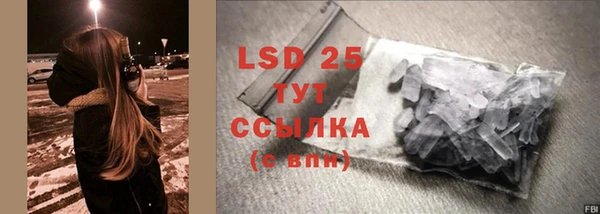 дживик Володарск