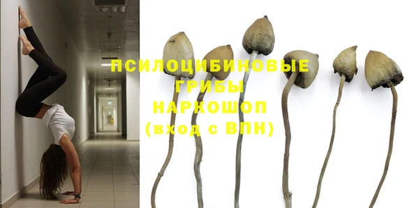 дживик Володарск