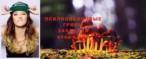 дживик Володарск
