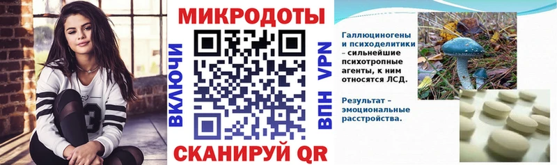 Псилоцибиновые грибы прущие грибы блэк спрут Энгельс